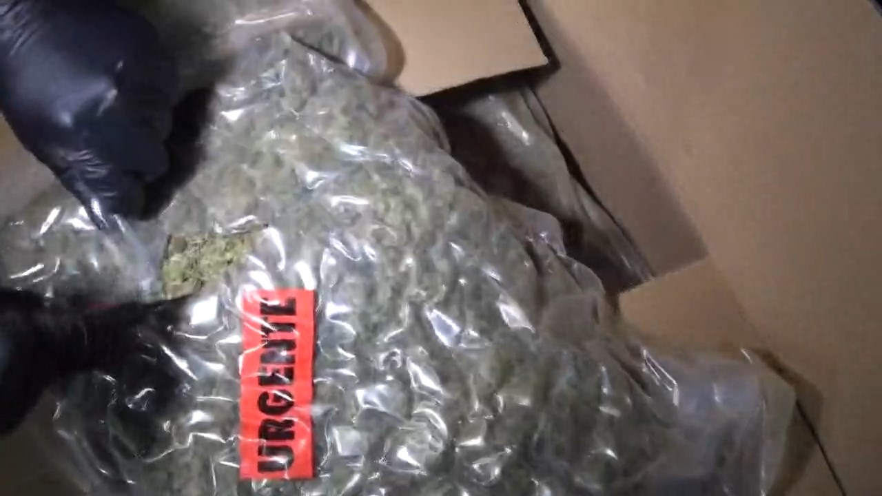 Küçükçekmece’de Dev Uyuşturucu Operasyonu: 4 TIR’da 527 Kilo Skunk Ele Geçirildi