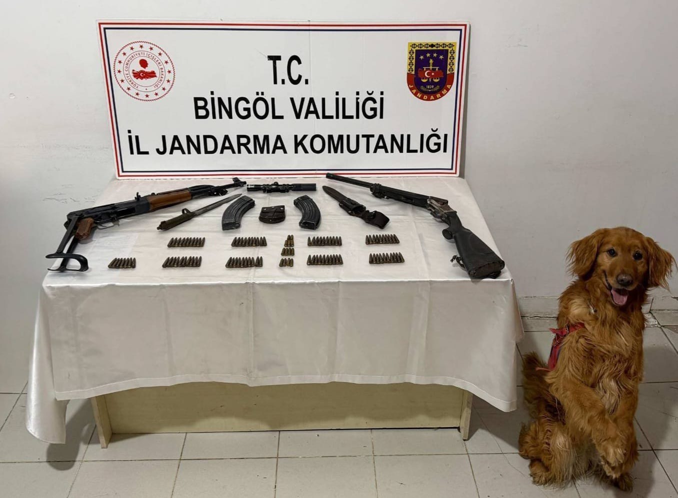 Bingöl’de Silah Kaçakçılığı Operasyonu: Çok Sayıda Mühimmat Ele Geçirildi