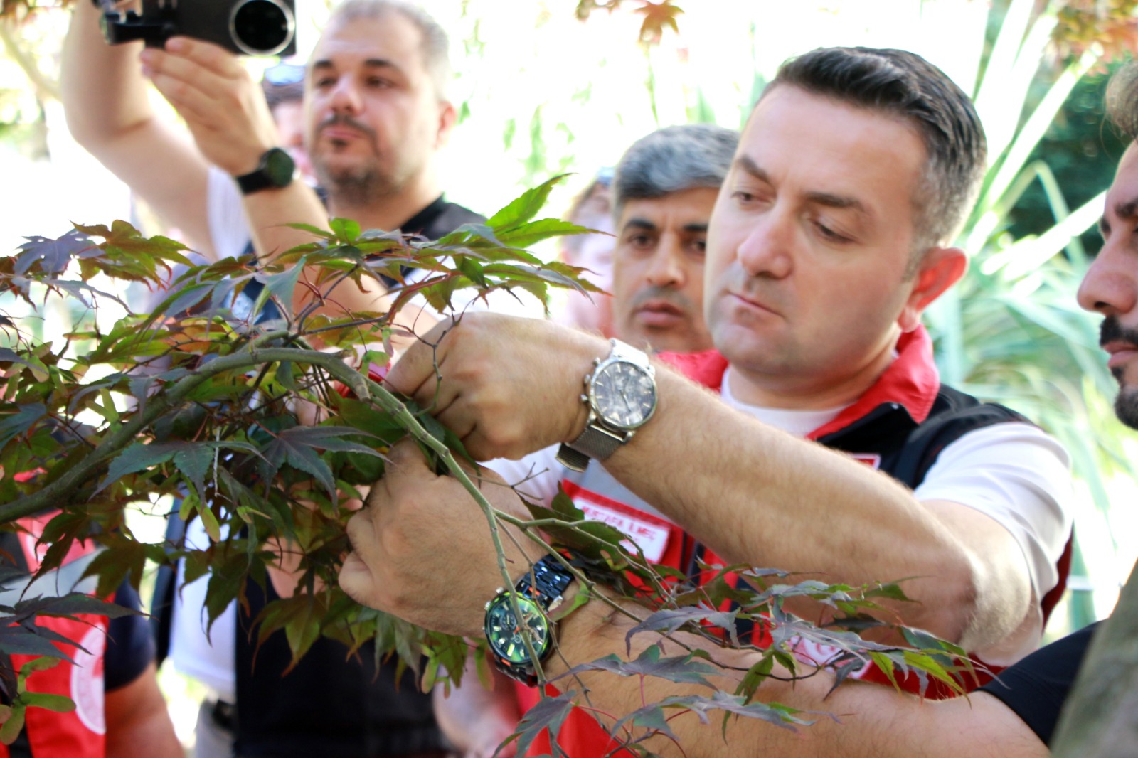 Kahverengi Kokarcayla Mücadelede 5 Bin Samuray Arısı Doğaya Salındı